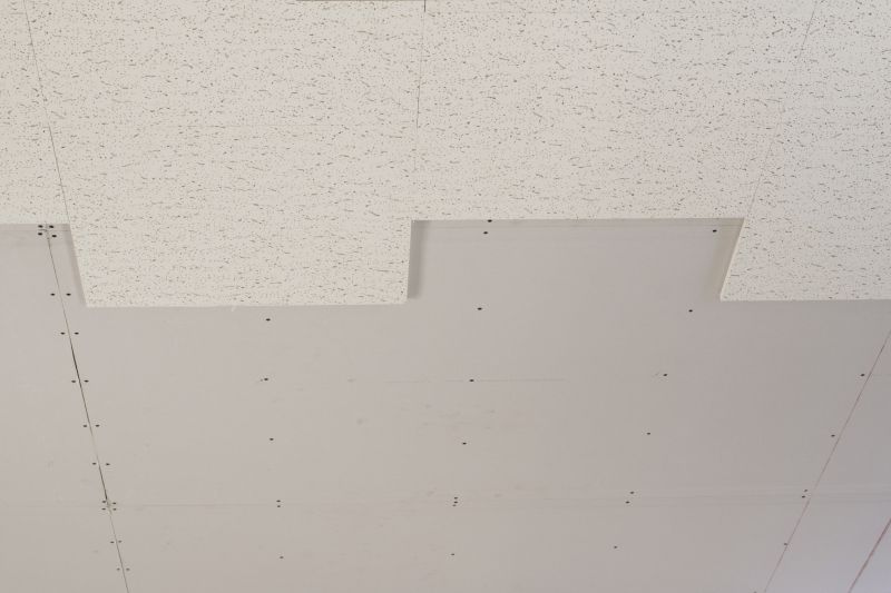 Acoustic Ceiling Replacement
