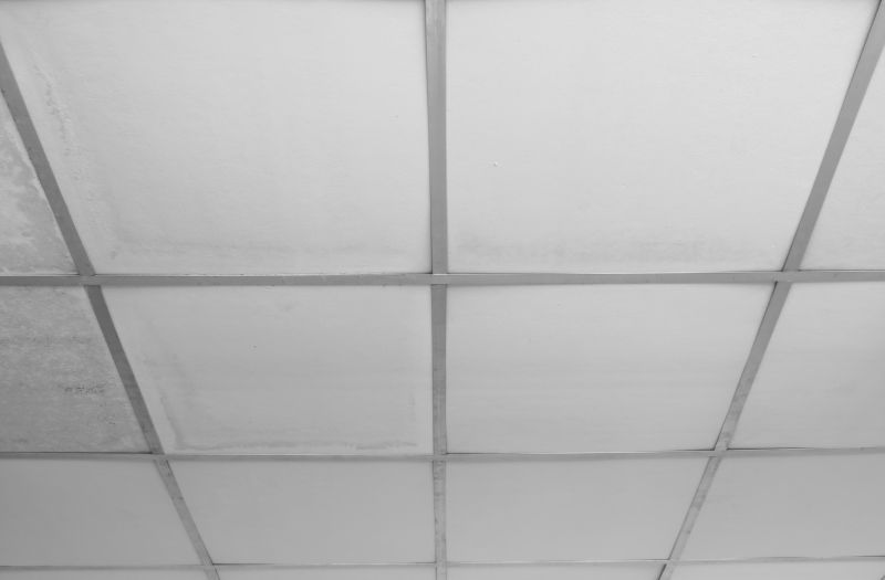 Drop Ceiling Repair in Arvada, CO