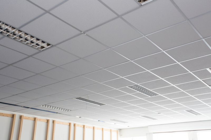 Tile Ceiling Installation in Boulder, CO