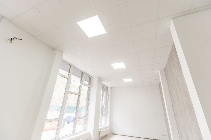 Acoustic Ceiling Replacement Service